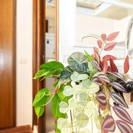 Antuela Pantheon Apartment Rome Exterior photo